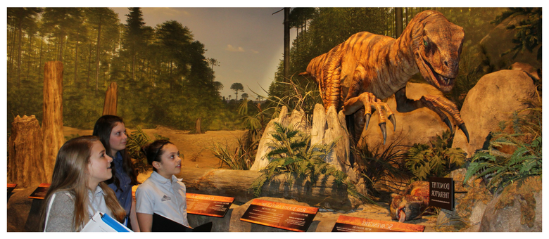 Creation Museum Field Study Enhances Biblical Thinking